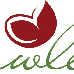 flawless laser center hair removal